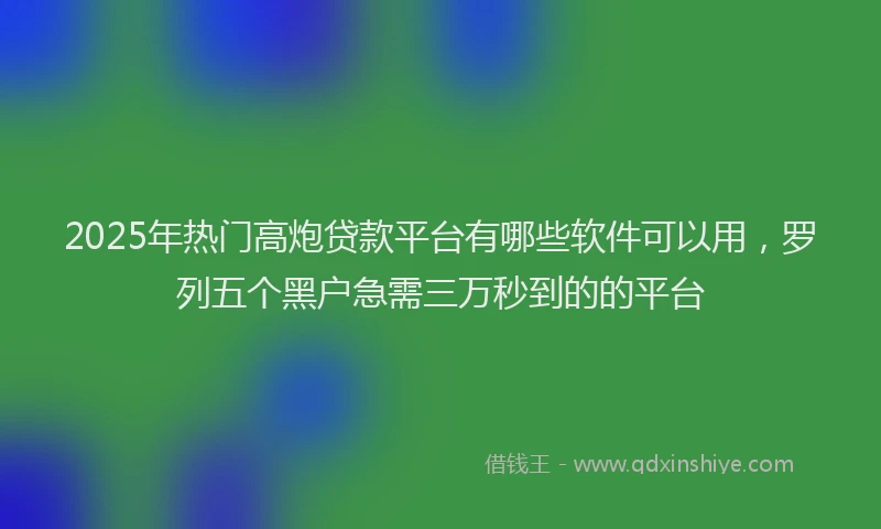 2025年热门高炮贷款平台有哪些软件可以用，罗列五个黑户急需三万秒到的的平台