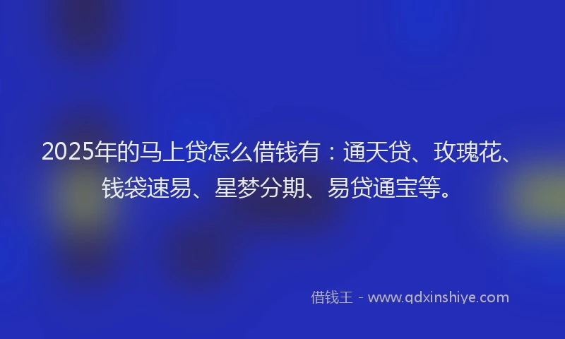 2025年的马上贷怎么借钱有：通天贷、玫瑰花、钱袋速易、星梦分期、易贷通宝等。