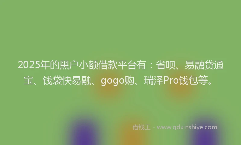 2025年的黑户小额借款平台有：省呗、易融贷通宝、钱袋快易融、gogo购、瑞泽Pro钱包等。
