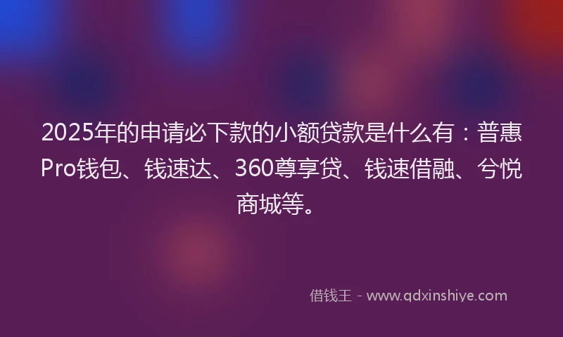 2025年的申请必下款的小额贷款是什么有：普惠Pro钱包、钱速达、360尊享贷、钱速借融、兮悦商城等。