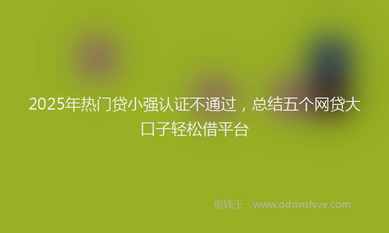 2025年热门贷小强认证不通过，总结五个网贷大口子轻松借平台
