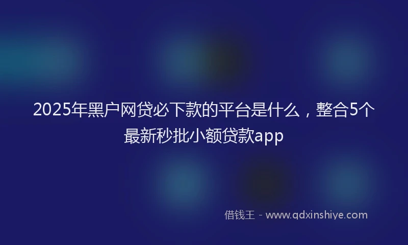 2025年黑户网贷必下款的平台是什么，整合5个最新秒批小额贷款app