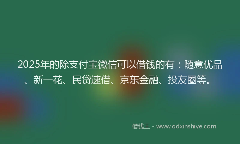 2025年的除支付宝微信可以借钱的有：随意优品、新一花、民贷速借、京东金融、投友圈等。