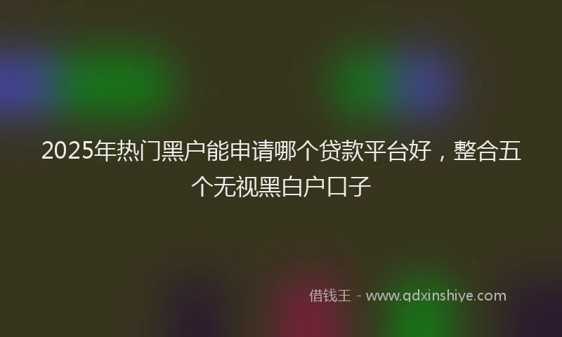 2025年热门黑户能申请哪个贷款平台好，整合五个无视黑白户口子