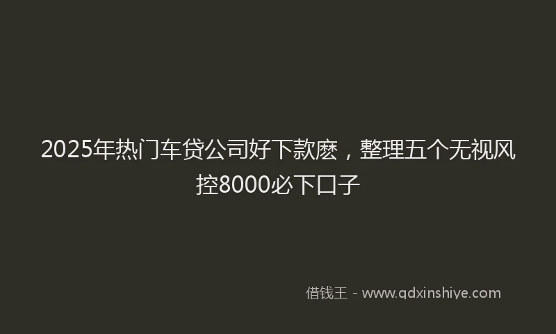 2025年热门车贷公司好下款麽，整理五个无视风控8000必下口子