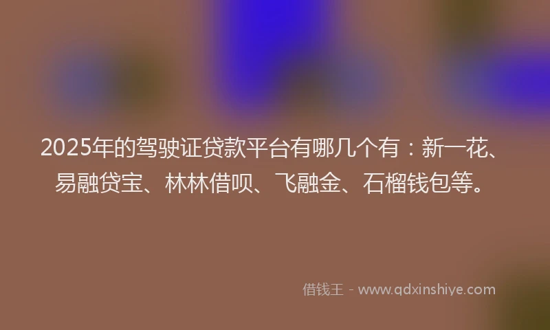 2025年的驾驶证贷款平台有哪几个有：新一花、易融贷宝、林林借呗、飞融金、石榴钱包等。
