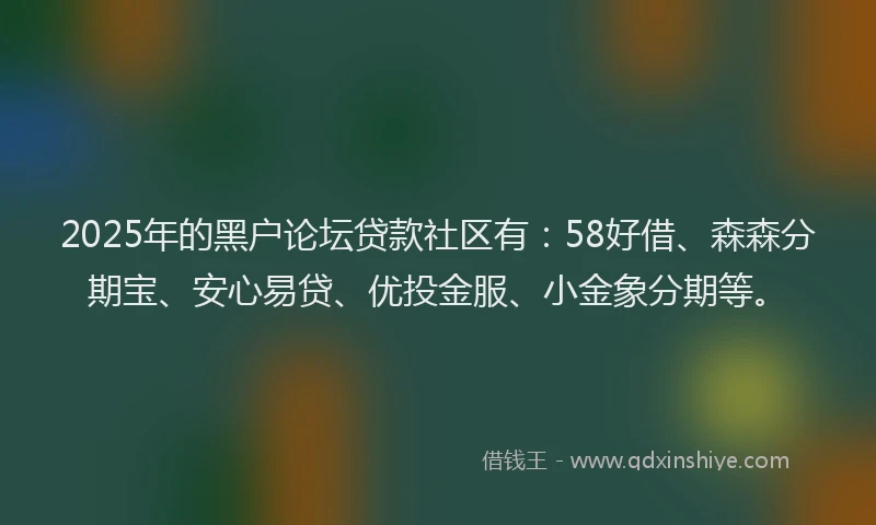 2025年的黑户论坛贷款社区有：58好借、森森分期宝、安心易贷、优投金服、小金象分期等。