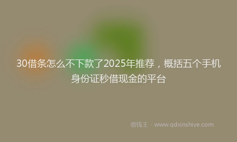 30借条怎么不下款了2025年推荐，概括五个手机身份证秒借现金的平台