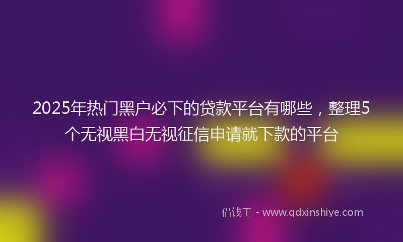 2025年热门黑户必下的贷款平台有哪些，整理5个无视黑白无视征信申请就下款的平台