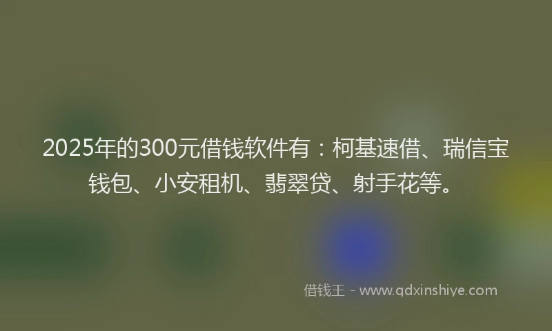 2025年的300元借钱软件有：柯基速借、瑞信宝钱包、小安租机、翡翠贷、射手花等。