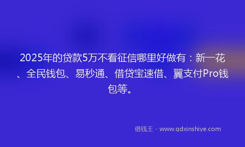 2025年的贷款5万不看征信哪里好做有：新一花、全民钱包、易秒通、借贷宝速借、翼支付Pro钱包等。