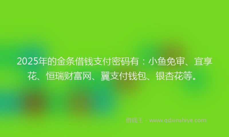 2025年的金条借钱支付密码有：小鱼免审、宜享花、恒瑞财富网、翼支付钱包、银杏花等。