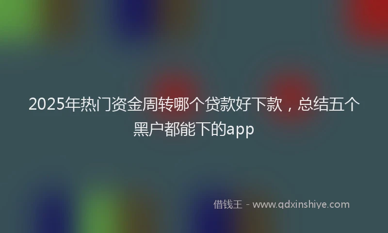 2025年热门资金周转哪个贷款好下款，总结五个黑户都能下的app