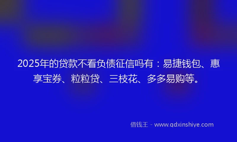 2025年的贷款不看负债征信吗有：易捷钱包、惠享宝券、粒粒贷、三枝花、多多易购等。