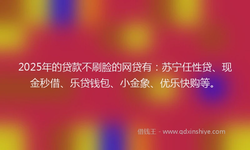 2025年的贷款不刷脸的网贷有：苏宁任性贷、现金秒借、乐贷钱包、小金象、优乐快购等。