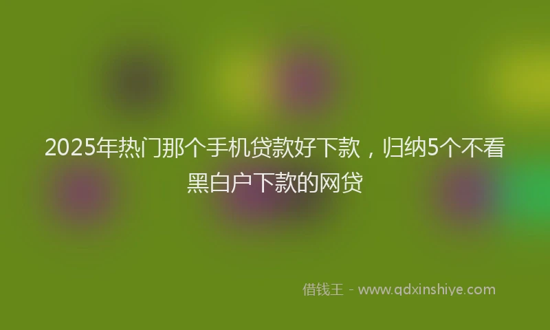 2025年热门那个手机贷款好下款，归纳5个不看黑白户下款的网贷