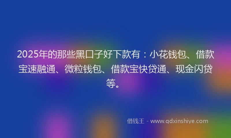 2025年的那些黑口子好下款有：小花钱包、借款宝速融通、微粒钱包、借款宝快贷通、现金闪贷等。