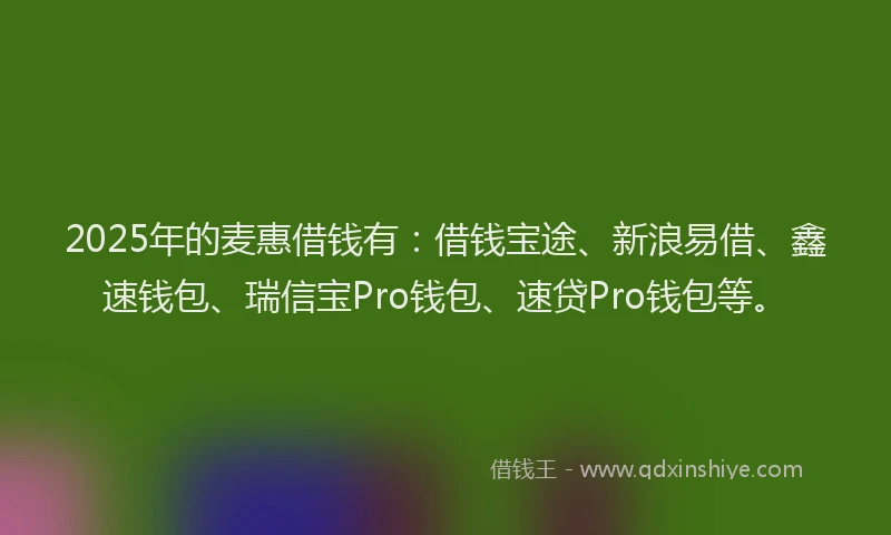 2025年的麦惠借钱有：借钱宝途、新浪易借、鑫速钱包、瑞信宝Pro钱包、速贷Pro钱包等。
