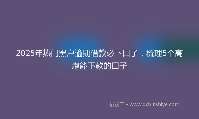 2025年热门黑户逾期借款必下口子，梳理5个高炮能下款的口子