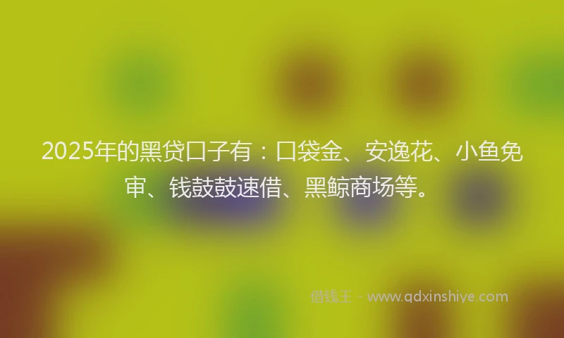 2025年的黑贷口子有：口袋金、安逸花、小鱼免审、钱鼓鼓速借、黑鲸商场等。