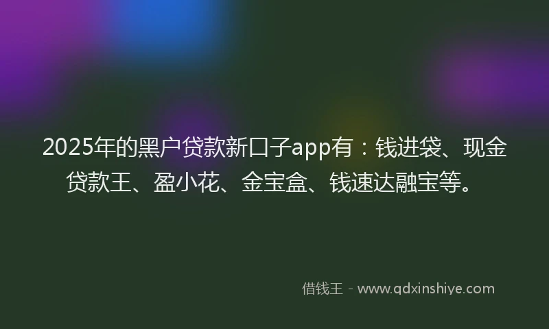 2025年的黑户贷款新口子app有：钱进袋、现金贷款王、盈小花、金宝盒、钱速达融宝等。