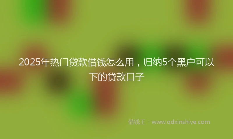 2025年热门贷款借钱怎么用，归纳5个黑户可以下的贷款口子