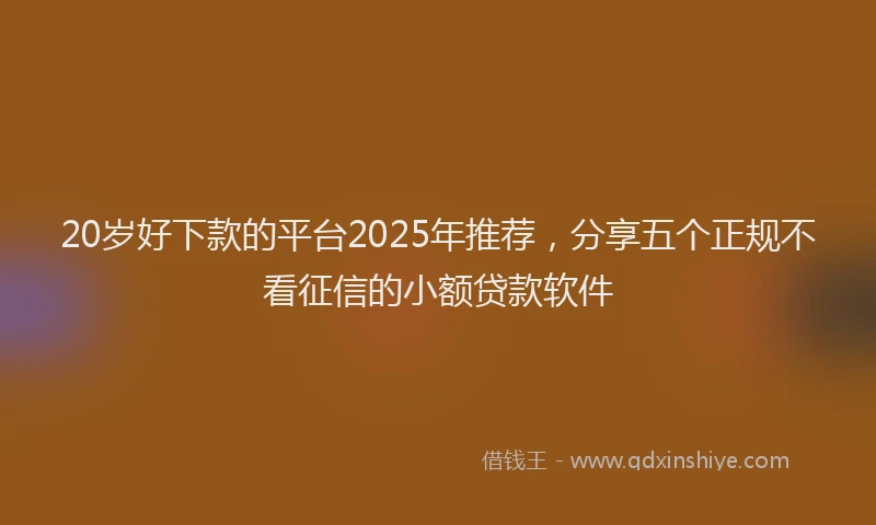 20岁好下款的平台2025年推荐，分享五个正规不看征信的小额贷款软件