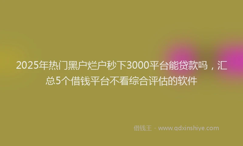 2025年热门黑户烂户秒下3000平台能贷款吗，汇总5个借钱平台不看综合评估的软件