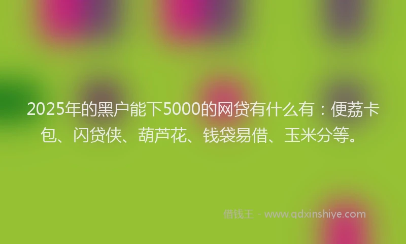 2025年的黑户能下5000的网贷有什么有：便荔卡包、闪贷侠、葫芦花、钱袋易借、玉米分等。