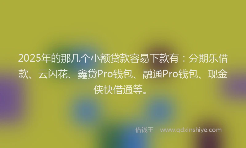 2025年的那几个小额贷款容易下款有：分期乐借款、云闪花、鑫贷Pro钱包、融通Pro钱包、现金侠快借通等。