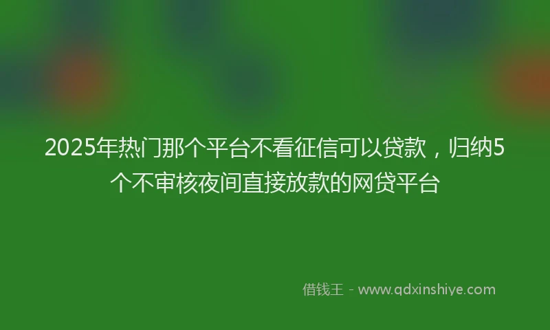 2025年热门那个平台不看征信可以贷款，归纳5个不审核夜间直接放款的网贷平台