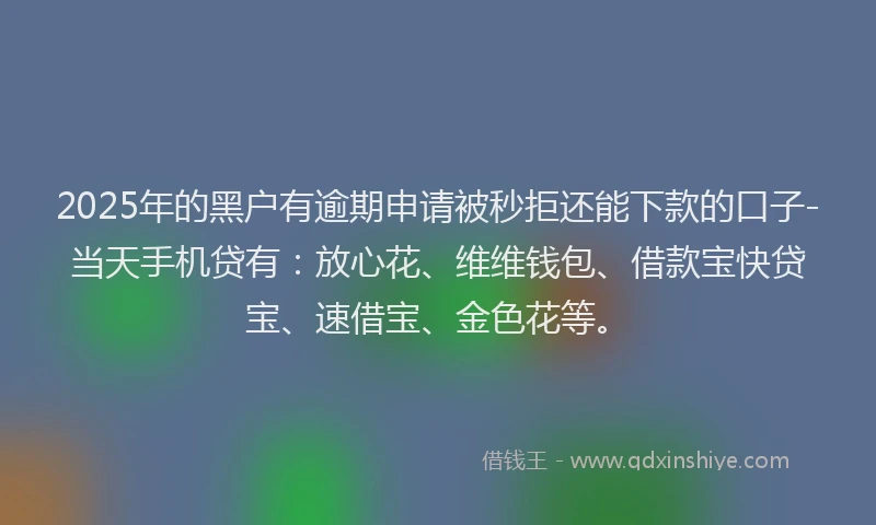 2025年的黑户有逾期申请被秒拒还能下款的口子-当天手机贷有：放心花、维维钱包、借款宝快贷宝、速借宝、金色花等。