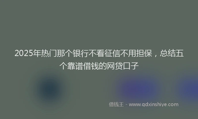 2025年热门那个银行不看征信不用担保，总结五个靠谱借钱的网贷口子