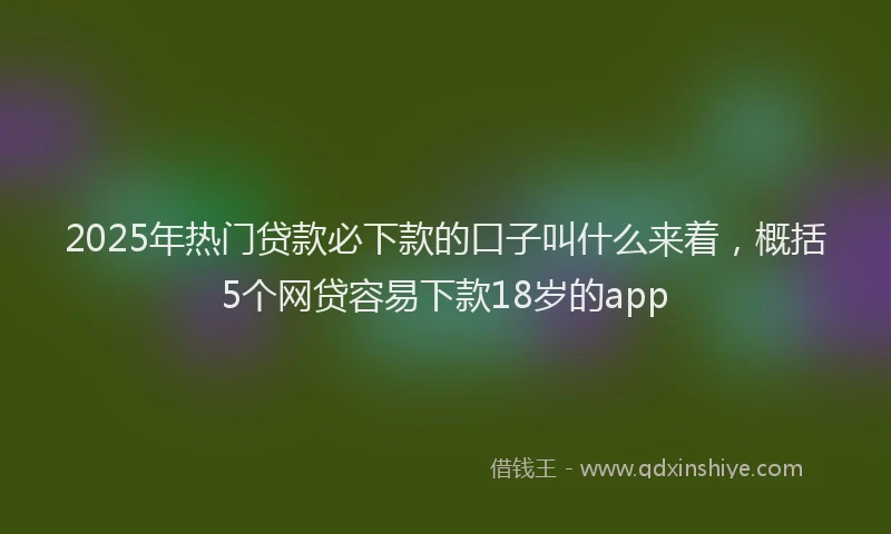 2025年热门贷款必下款的口子叫什么来着，概括5个网贷容易下款18岁的app