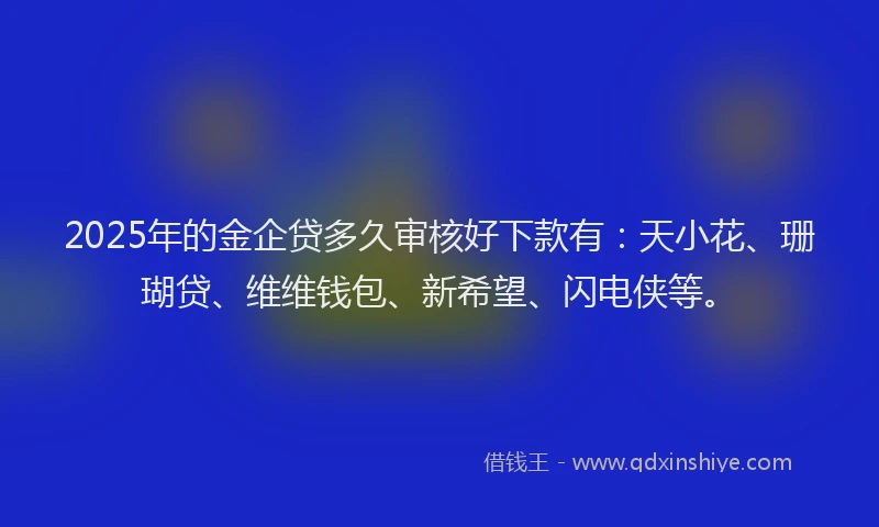 2025年的金企贷多久审核好下款有：天小花、珊瑚贷、维维钱包、新希望、闪电侠等。
