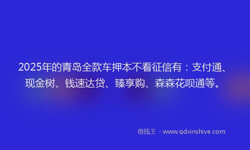 2025年的青岛全款车押本不看征信有：支付通、现金树、钱速达贷、臻享购、森森花呗通等。