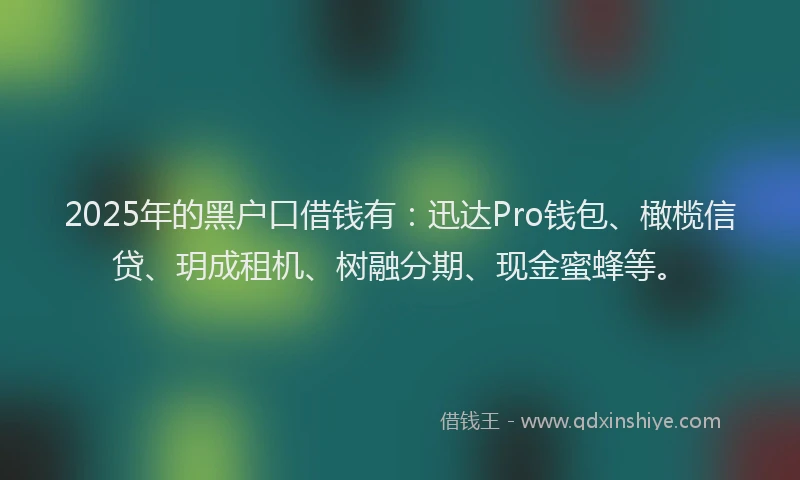 2025年的黑户口借钱有：迅达Pro钱包、橄榄信贷、玥成租机、树融分期、现金蜜蜂等。