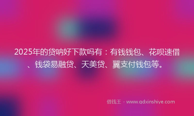 2025年的贷呐好下款吗有：有钱钱包、花呗速借、钱袋易融贷、天美贷、翼支付钱包等。