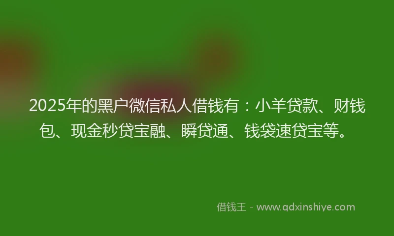 2025年的黑户微信私人借钱有：小羊贷款、财钱包、现金秒贷宝融、瞬贷通、钱袋速贷宝等。