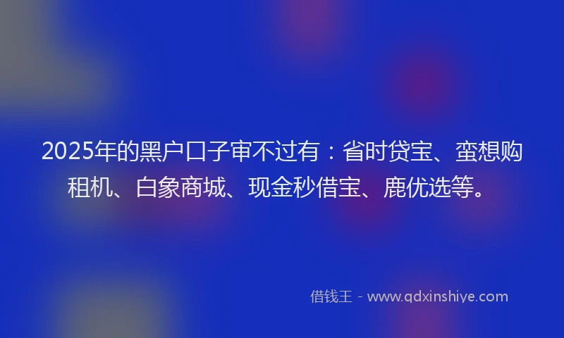 2025年的黑户口子审不过有：省时贷宝、蛮想购租机、白象商城、现金秒借宝、鹿优选等。