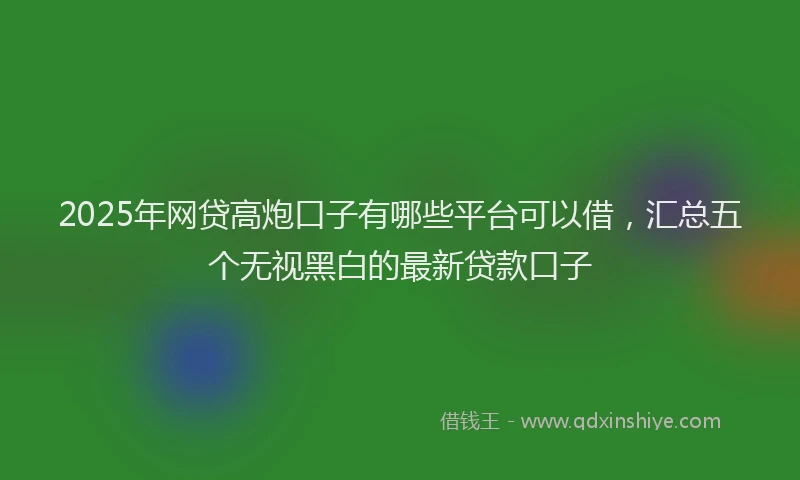2025年网贷高炮口子有哪些平台可以借，汇总五个无视黑白的最新贷款口子