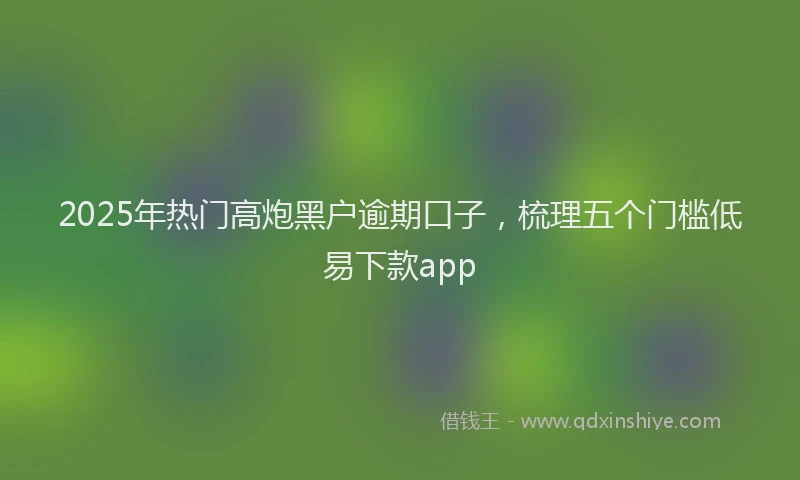 2025年热门高炮黑户逾期口子，梳理五个门槛低易下款app