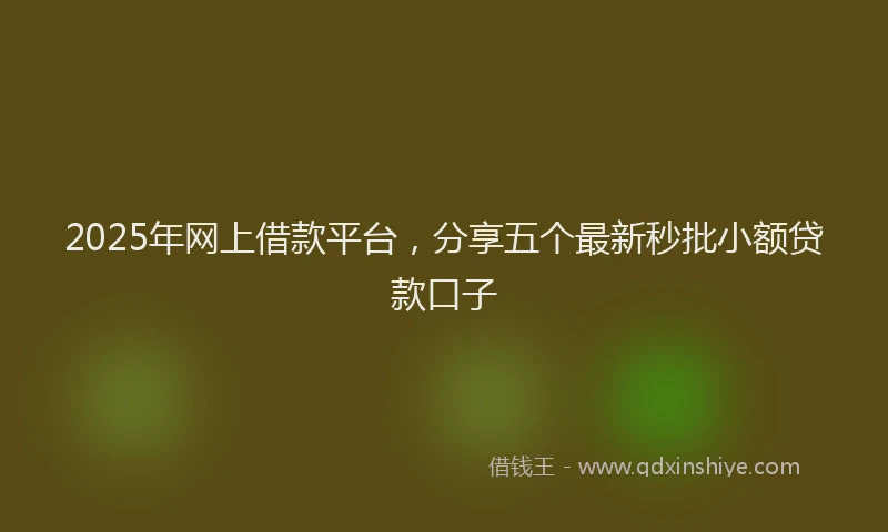 2025年网上借款平台，分享五个最新秒批小额贷款口子