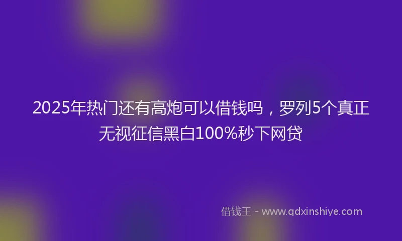 2025年热门还有高炮可以借钱吗，罗列5个真正无视征信黑白100%秒下网贷