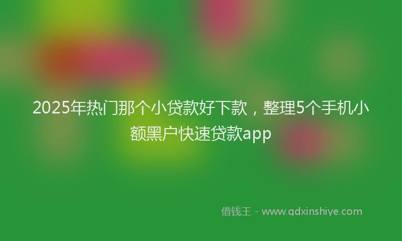 2025年热门那个小贷款好下款，整理5个手机小额黑户快速贷款app