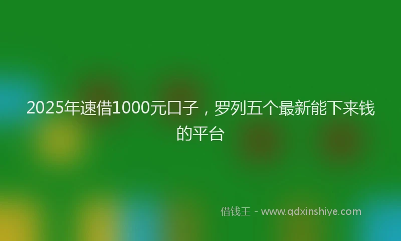 2025年速借1000元口子，罗列五个最新能下来钱的平台