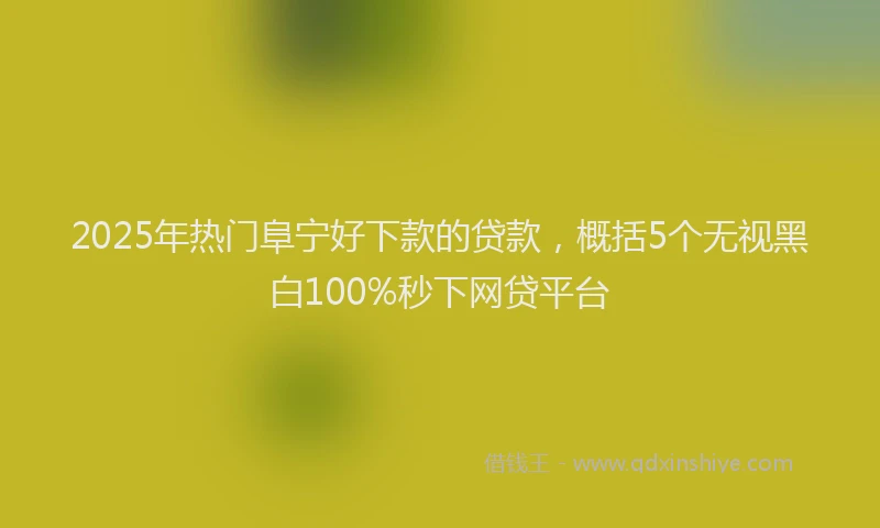 2025年热门阜宁好下款的贷款，概括5个无视黑白100%秒下网贷平台