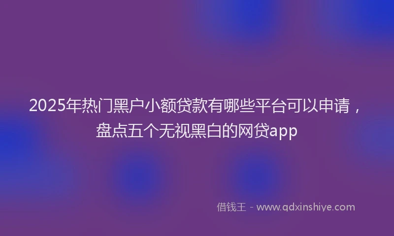 2025年热门黑户小额贷款有哪些平台可以申请，盘点五个无视黑白的网贷app