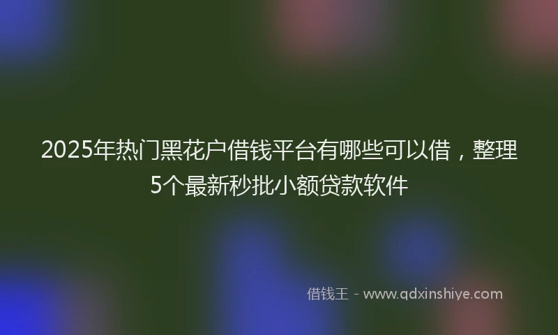 2025年热门黑花户借钱平台有哪些可以借，整理5个最新秒批小额贷款软件