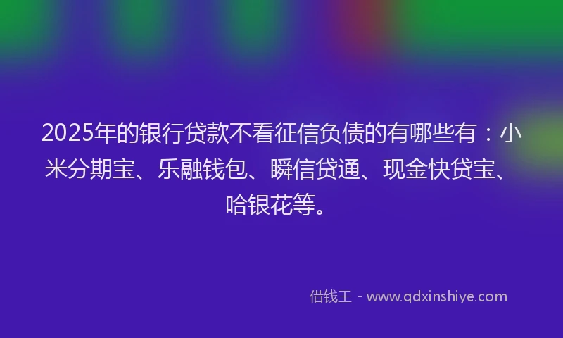 2025年的银行贷款不看征信负债的有哪些有：小米分期宝、乐融钱包、瞬信贷通、现金快贷宝、哈银花等。